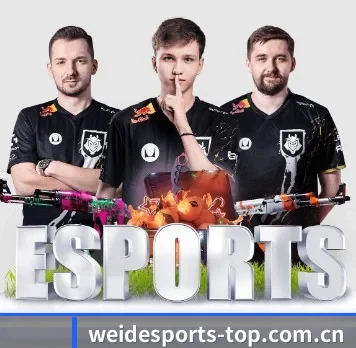 国际化进程（WEIDESPORT）