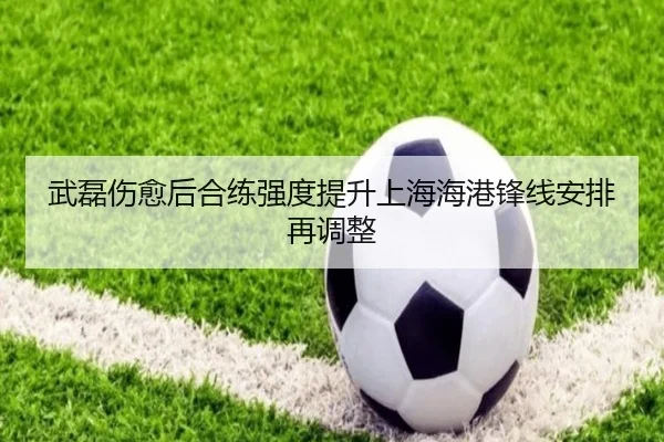 武磊伤愈后合练强度提升上海海港锋线安排再调整（WEIDESPORT）